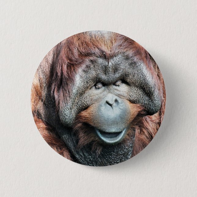ORANGUTAN 2 INCH ROUND BUTTON (Front)