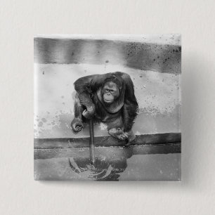 Orangutan 2 Inch Square Button