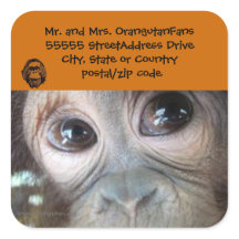 Orangutan address label Official Logo