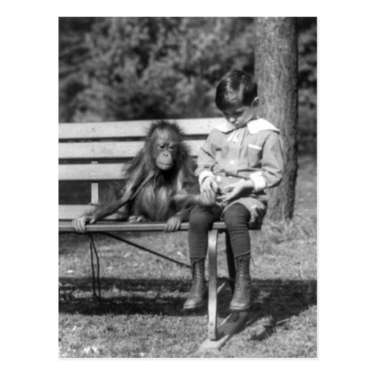 Orangutan and Boy - National Zoo Postcard