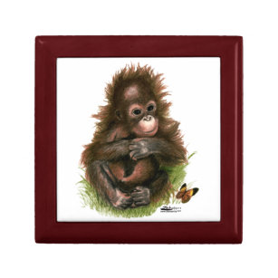 Orangutan Baby and Butterfly Gift Box