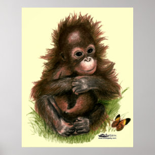 Orangutan Baby and Butterfly Poster