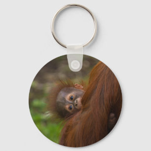 Orangutan Baby Having A Peek Keychain
