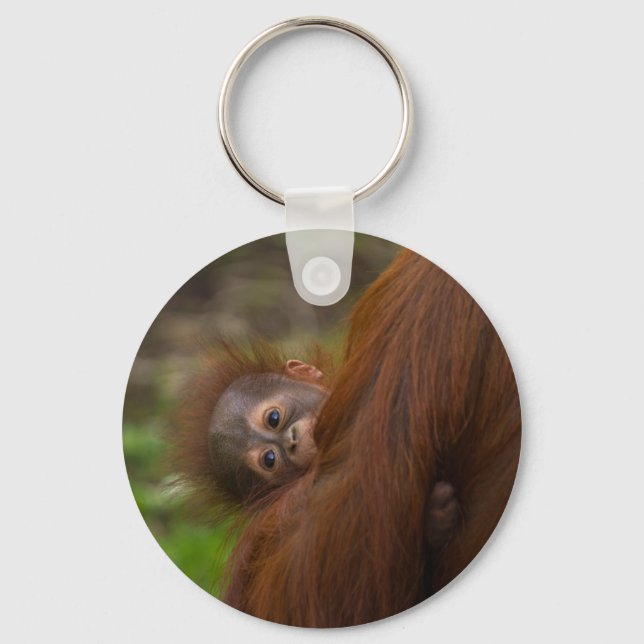 Orangutan Baby Having A Peek Keychain (Front)