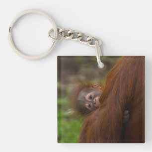 Orangutan Baby Having A Peek Keychain