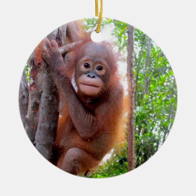 Orangutan Baby Uttuh Ceramic Ornament (Front)