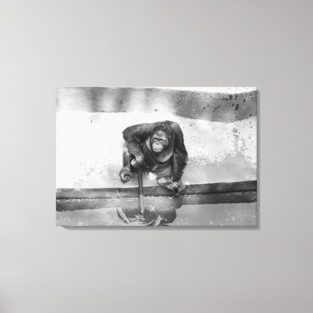 Orangutan Canvas Print (Front)