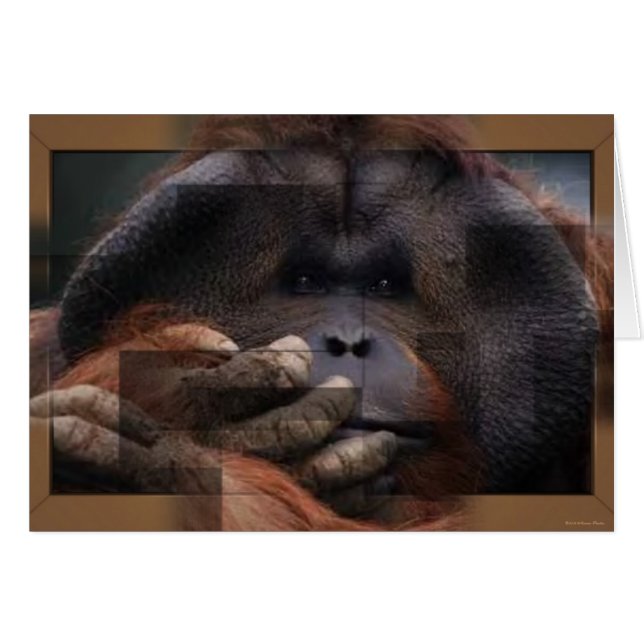 Orangutan Card (Front Horizontal)
