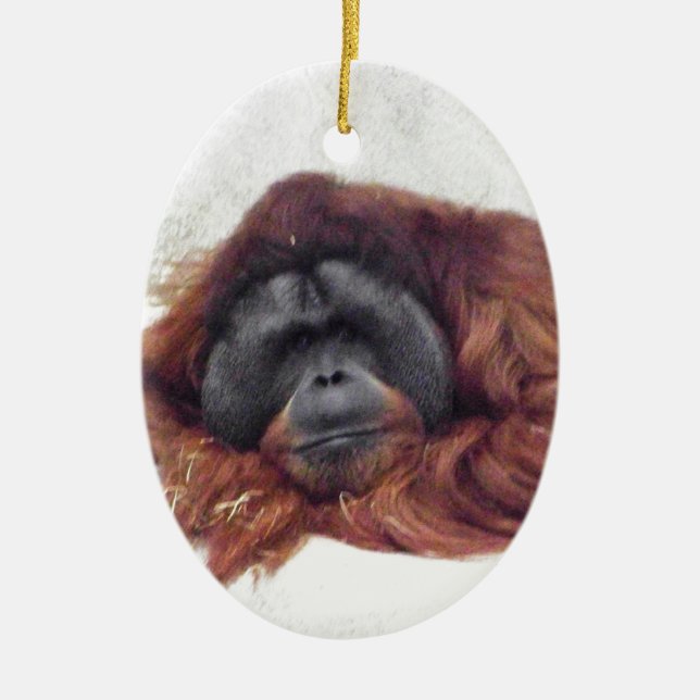 Orangutan Ceramic Ornament (Front)