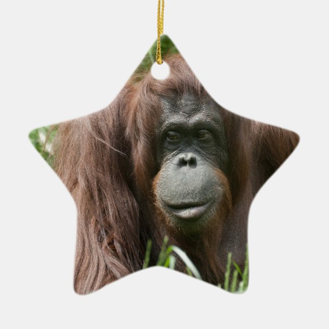 Orangutan Ceramic Ornament (Front)