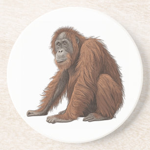 Orangutan Coaster