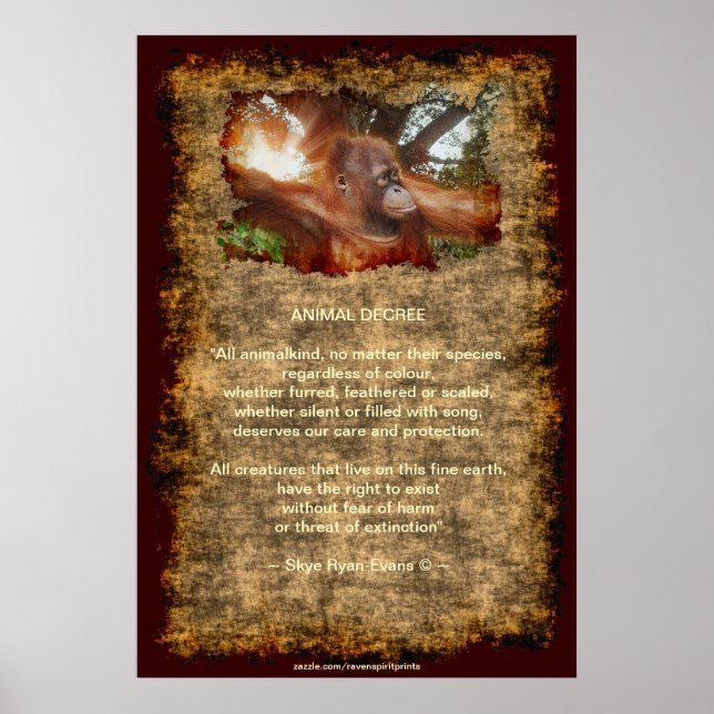 Orangutan Endangered Wildlife Animal Decree Poster (Front)