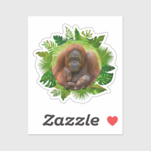 Orangutan Family Bond