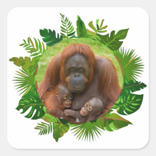 Orangutan Family Bond Square Sticker