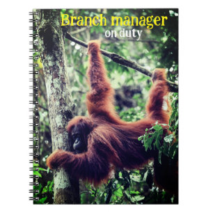 Orangutan hanging in tree notebook