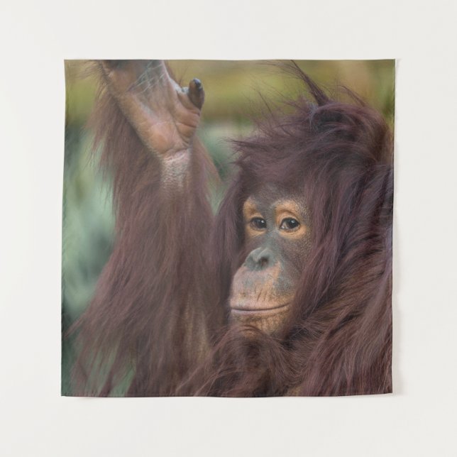 Orangutan Kayan Tapestry (Front)