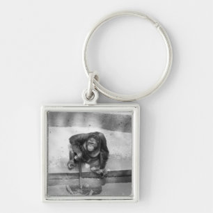 Orangutan Keychain