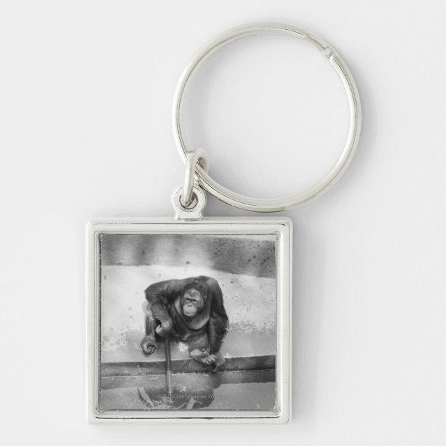 Orangutan Keychain (Front)