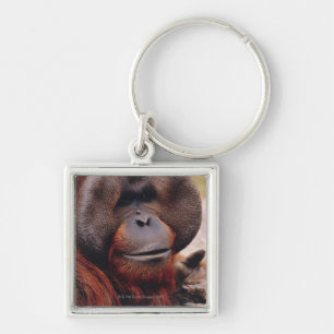 Orangutan Keychain