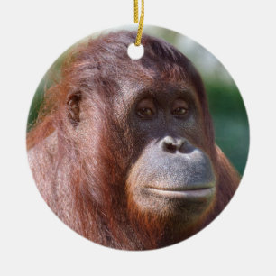 Orangutan Lady Ceramic Ornament