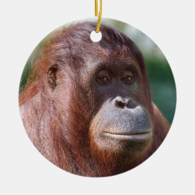 Orangutan Lady Ceramic Ornament (Front)