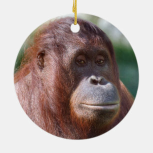 Orangutan Lady Ceramic Ornament
