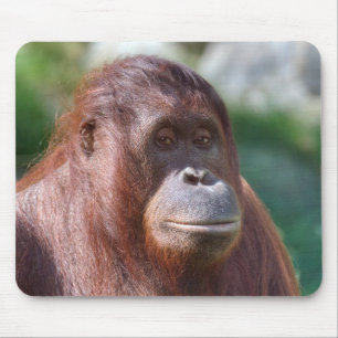 Orangutan Lady Mouse Pad