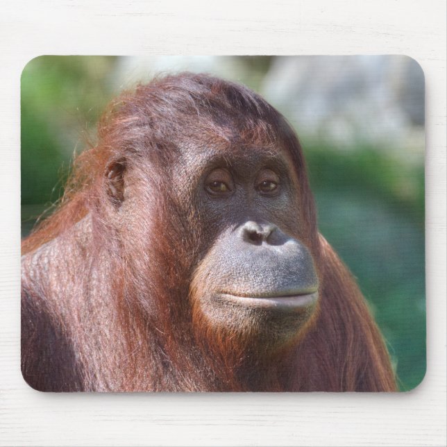 Orangutan Lady Mouse Pad (Front)