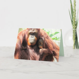 Orangutan lève la carte de la fête des mères
