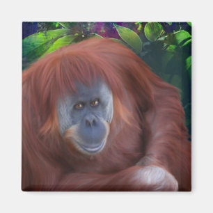 Orangutan Magnet