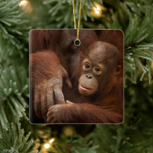 Orangutan Mother and Baby at the Zoo Ceramic Ornament (Tree)