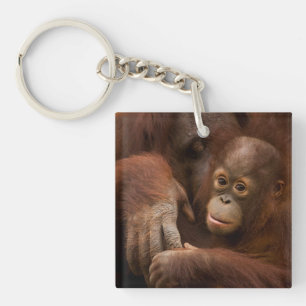 Orangutan Mother and Baby at the Zoo Keychain
