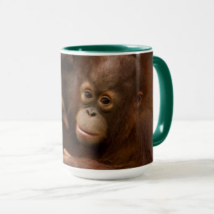 Orangutan Mother and Baby at the Zoo Mug