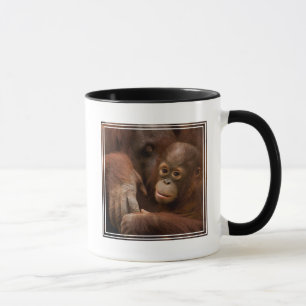 Orangutan Mother and Baby at the Zoo Mug