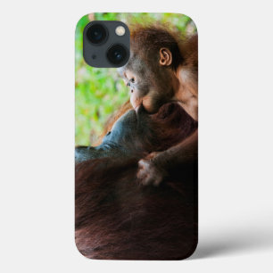 Orangutan mother and baby iPhone 13 case