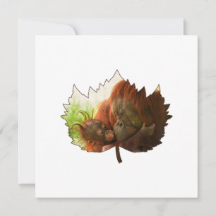 Orangutan Mother And Baby Invitation