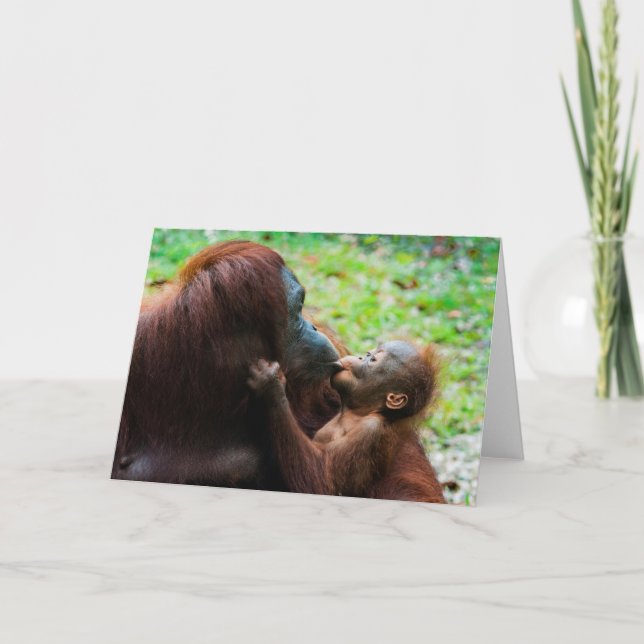 Orangutan Mother with Baby Card (Front)