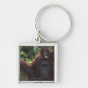 Orangutan Mother with Baby Keychain