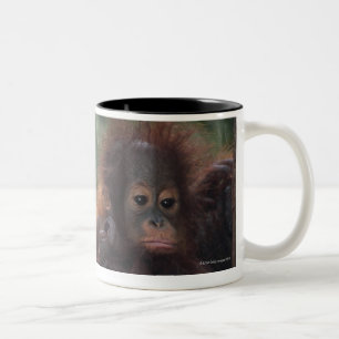 Orangutan Mother with Baby Two-Tone Coffee Mug