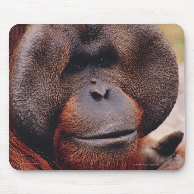 Orangutan Mouse Pad (Front)