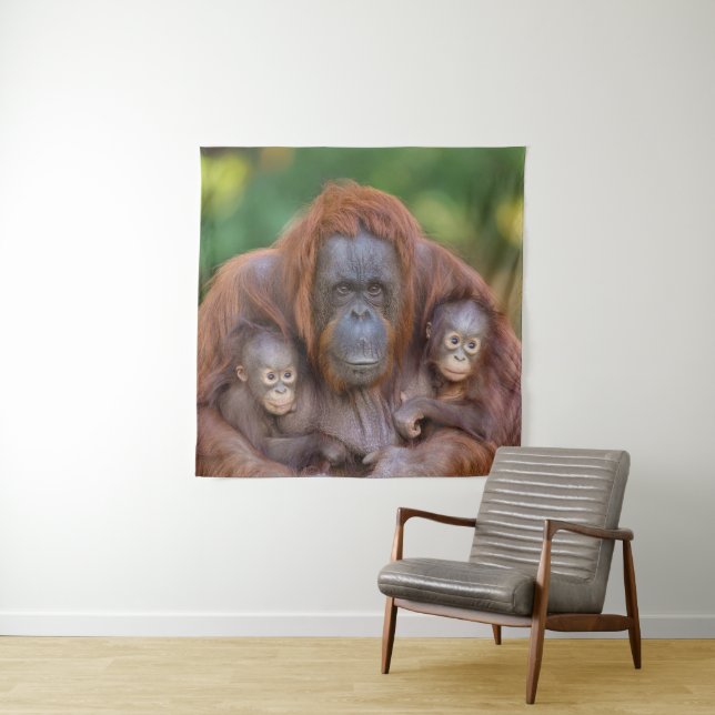 Orangutan Mum Watching Over Two Babies Tapestry (In Situ)