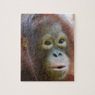 Orangutan on Island of Borneo Jigsaw Puzzle