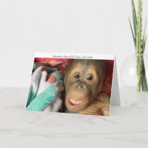 Orangutan Orphan Rescue - at Borneo Care Center Card