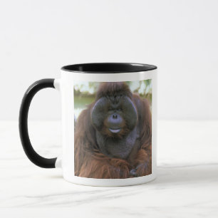 Orangutan Pongo Pygmaeus Mug