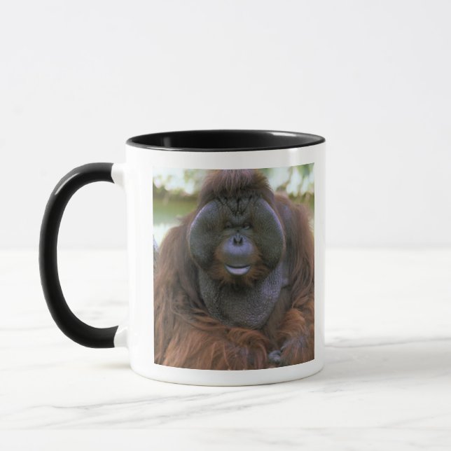 Orangutan Pongo Pygmaeus Mug (Left)