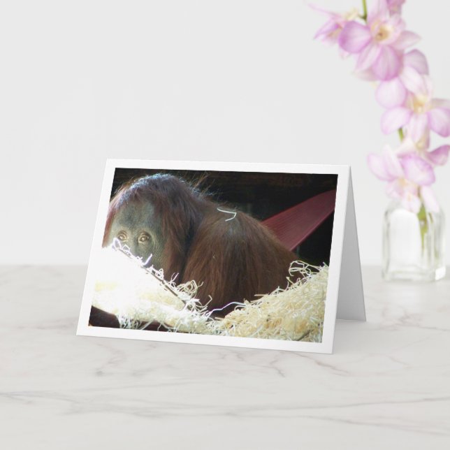 Orangutan Portrait Card (Orchid)