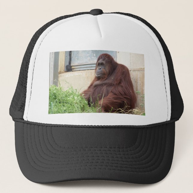 Orangutan Portrait Trucker Hat (Front)