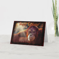 Orangutan & Rainforest Sunlight Birthday Card