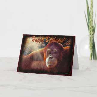 Orangutan & Rainforest Sunlight Birthday Card