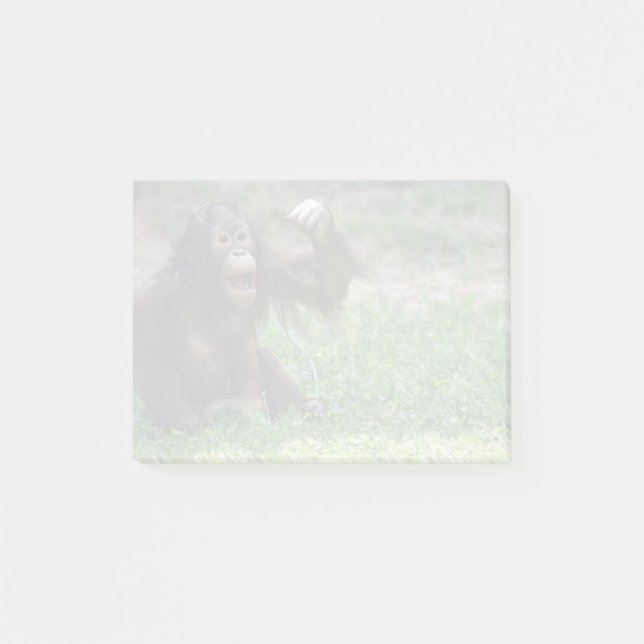 Orangutan Redd at the National Zoo Post-it Notes (Front)